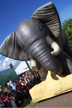 25 ' Elephant 