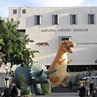 University of Oslo Natural History Museum, Norway