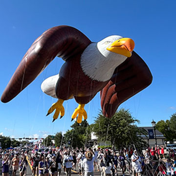eagle