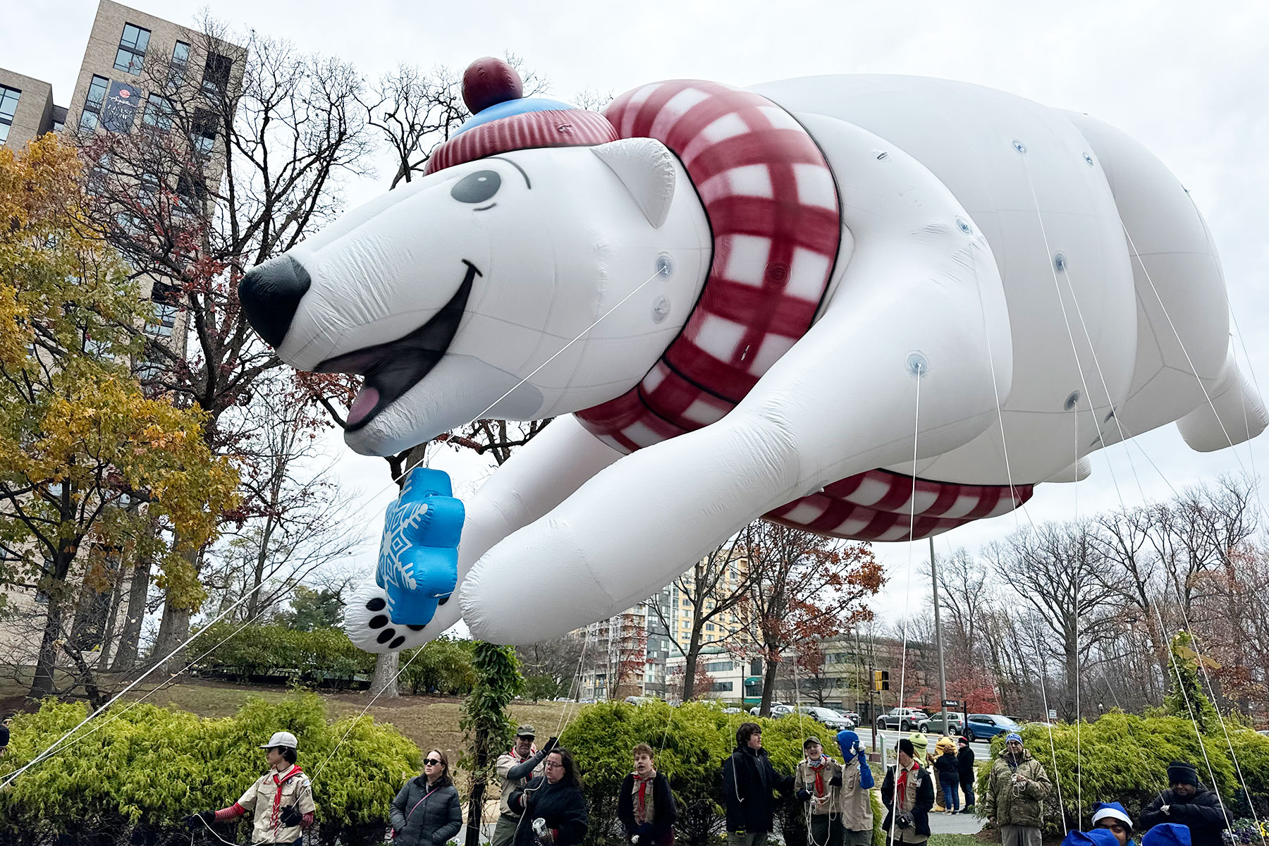 Helium Parade Balloons 